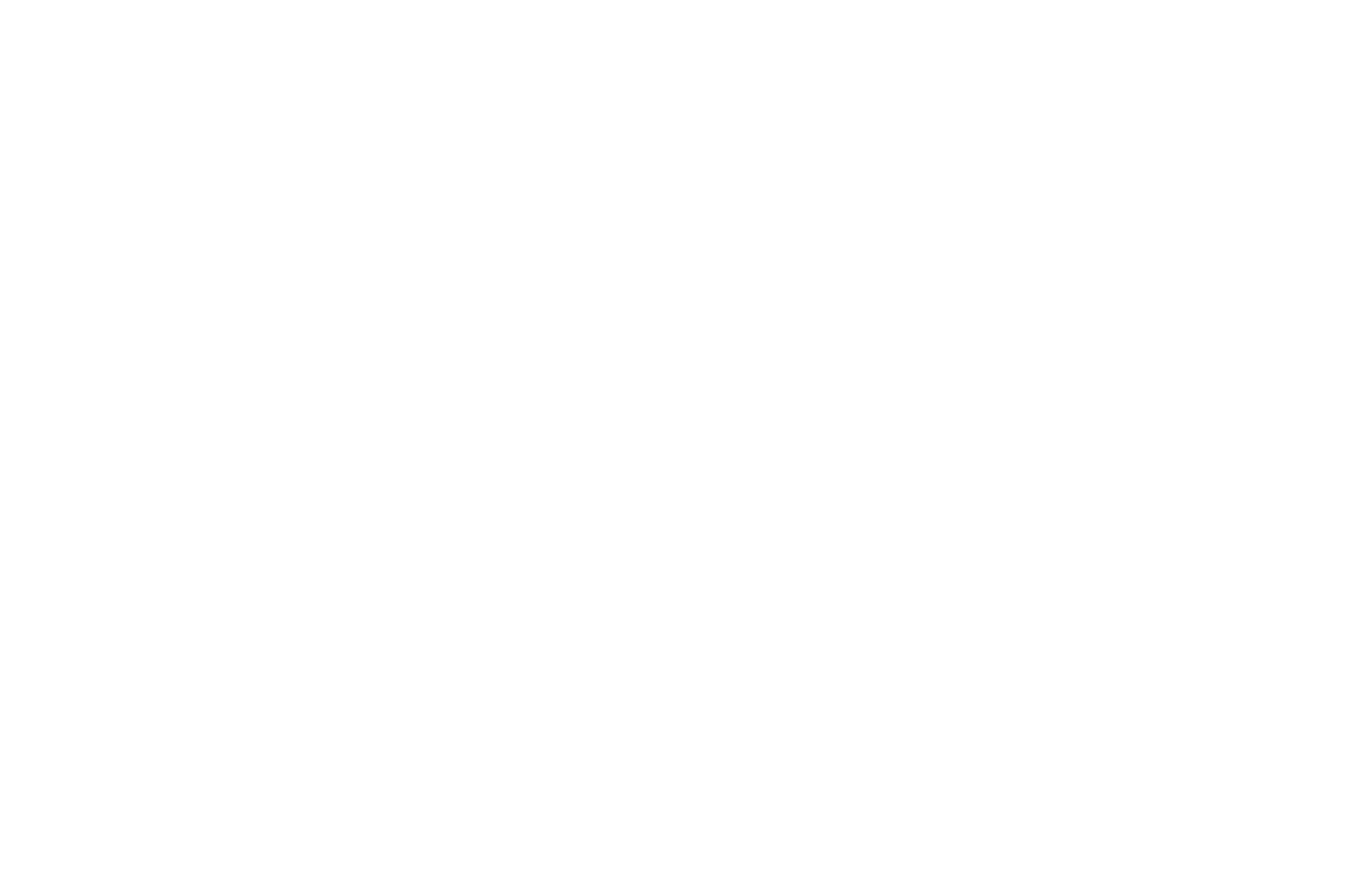 CapCut